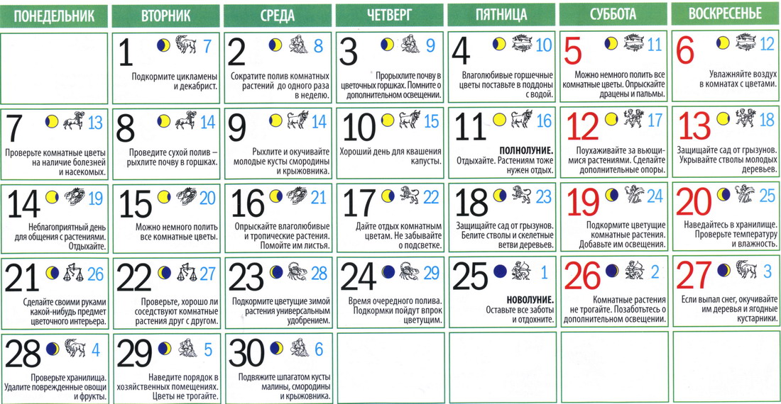 Лунный календарь садовода и огородника на ноябрь 2011г.