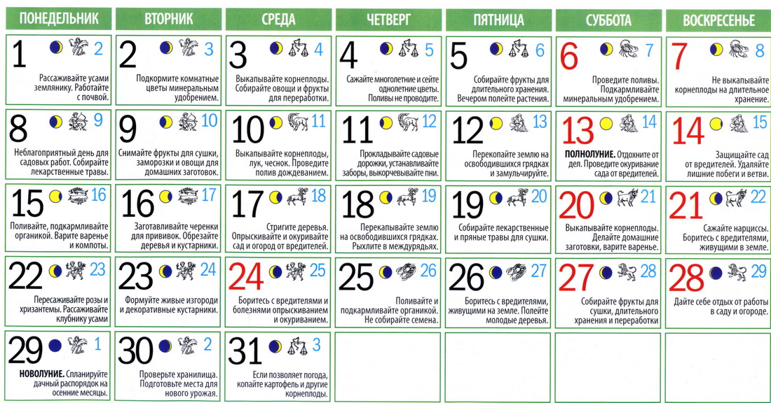 Лунный календарь садовода и огородника на август 2011г.