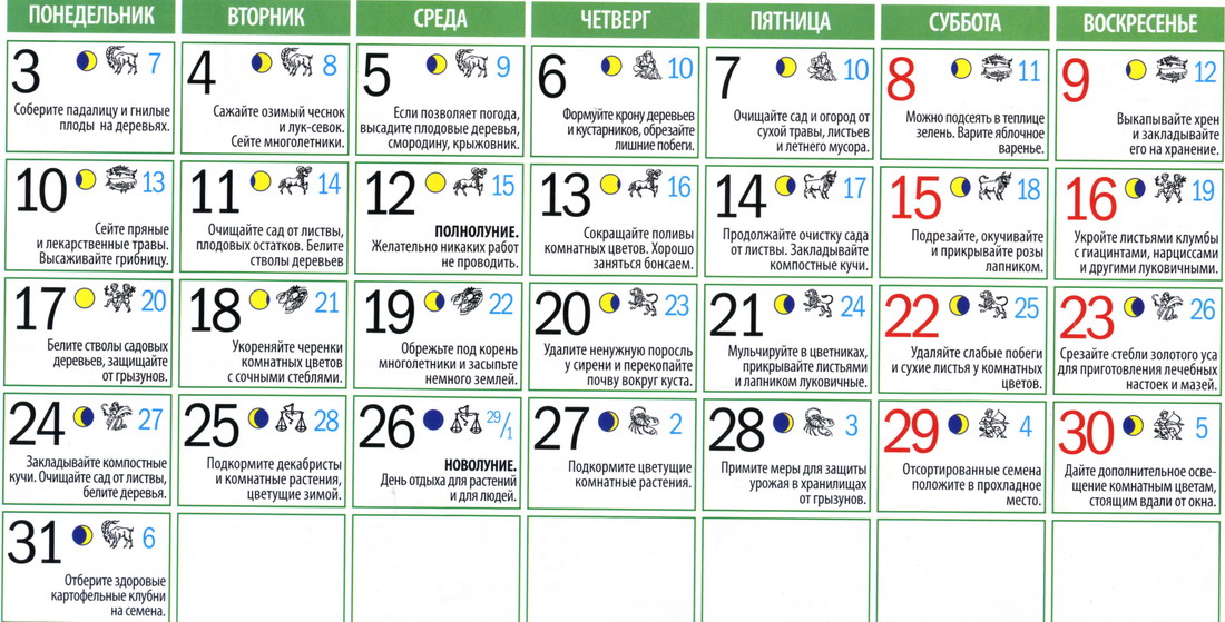 Лунный календарь садовода и огородника на октябрь 2011г.